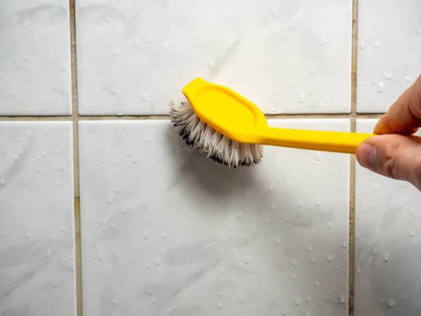 Best Preventive Mold Services in Basehor, KS