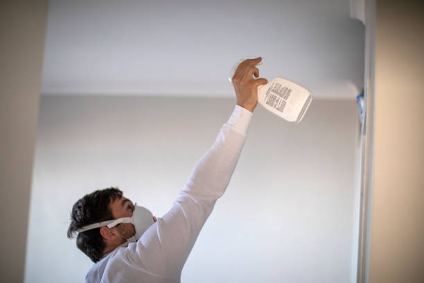 Best Basement Mold Remediation in Basehor, KS